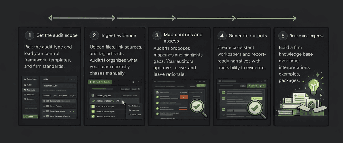 Audit41 workflow overview