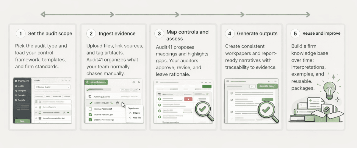 Audit41 workflow overview